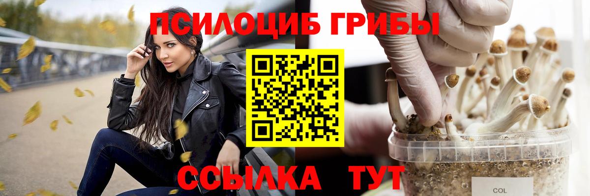 даркнет сайт  Вход с VPN  Полысаево  Галлюциногенные грибы Magic Shrooms 